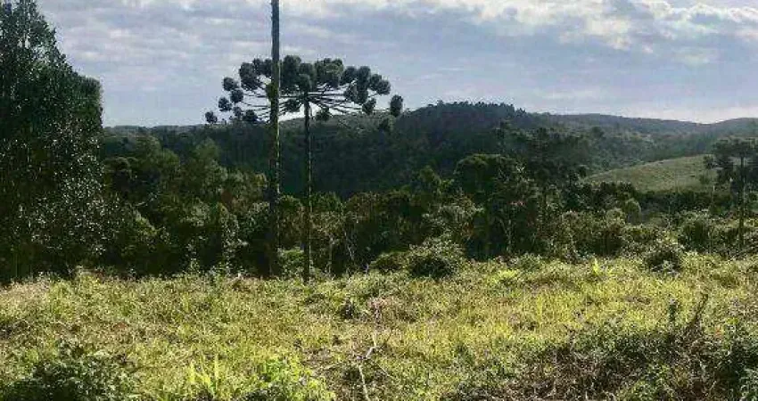 Chácara à venda, 20000 m² por R$ 200.000,00 - Centro - Bocaiúva do Sul/PR