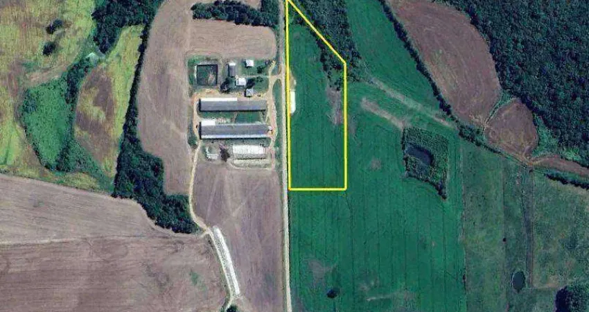 Terreno à venda na Rodovia PR-438, Zona Rural, Palmeira