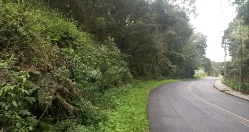 Terreno à venda, 20000 m² por R$ 1.700.000,00 - Ferraria - Campo Largo/PR