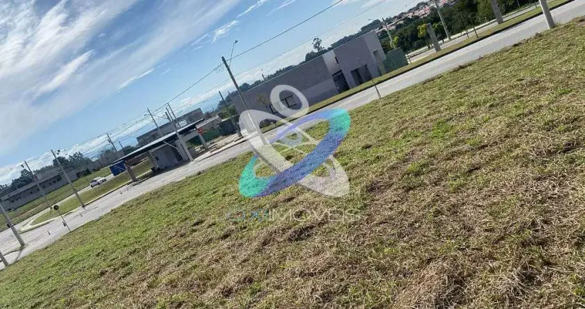 Terreno à venda, 505 m² por R$ 480.000,00 - Jardim das Flores - São José dos Campos/SP