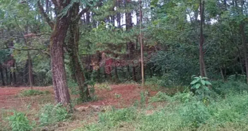 Terreno comercial para alugar na Avenida Humberto Cereser, --, Jundiaí Mirim, Jundiaí