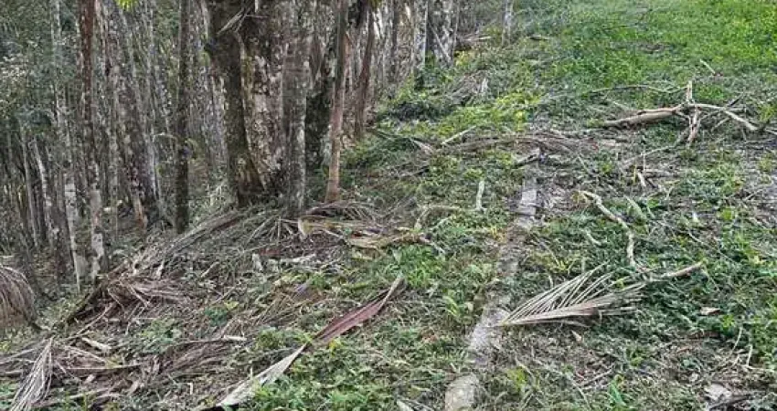 GRANDE TERRENO DE 12.292,76m²