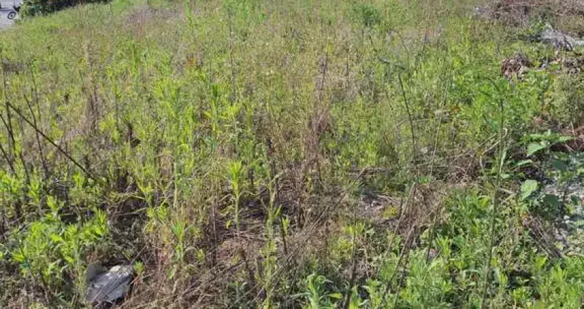 Terreno à venda no Jardim Maluche, Brusque 