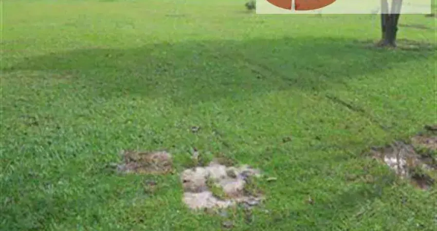 Chácaras para venda em Nazare Paulista no bairro Nazaré Paulista