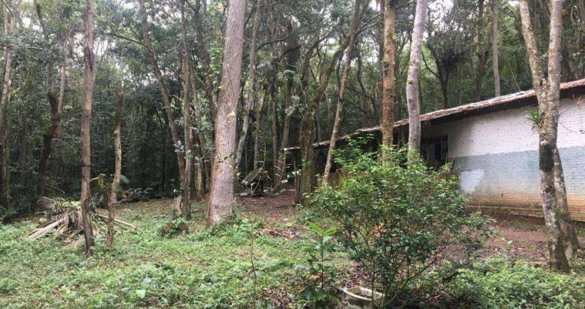 Chácara com 1 dormitório à venda, 7211 m² por R$ 280.000,00 - Tatetos - São Bernardo do Campo/SP