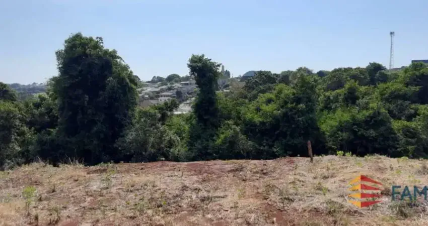 Terreno à venda na Rua dos Juriti, Planalto, Pato Branco