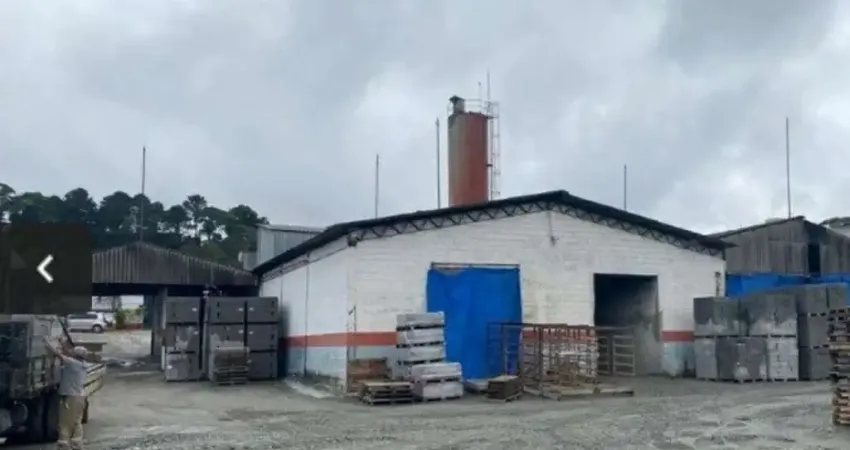 Terreno comercial para alugar no Baeta Neves, São Bernardo do Campo