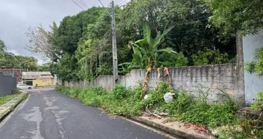 Terreno à venda no Flores, Manaus