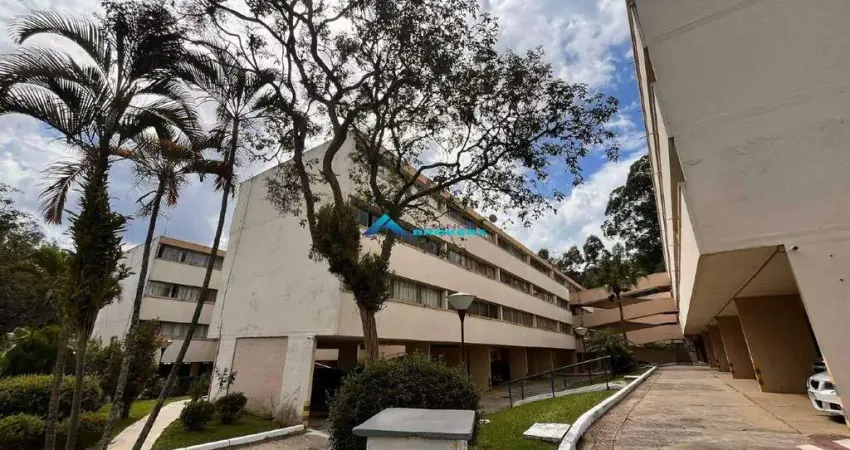 Apartamento C/ 3 Quartos, Armários em todos os ambientes, Cond. Cerejeiras ( Cecap 1 )