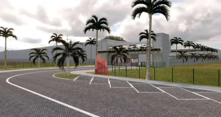 Barracão / Galpão / Depósito para alugar na Rua Domingos Rampelotti, 3601, Espinheiros, Itajaí
