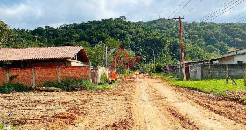 Terreno à venda no bairro Rio da Prata em Ubatuba/SP