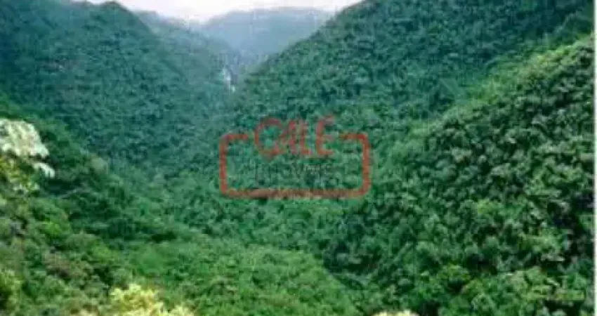 Fazenda à venda na FLORESTA PARA COMPENSAÇÃO, 10, Centro, Cananéia