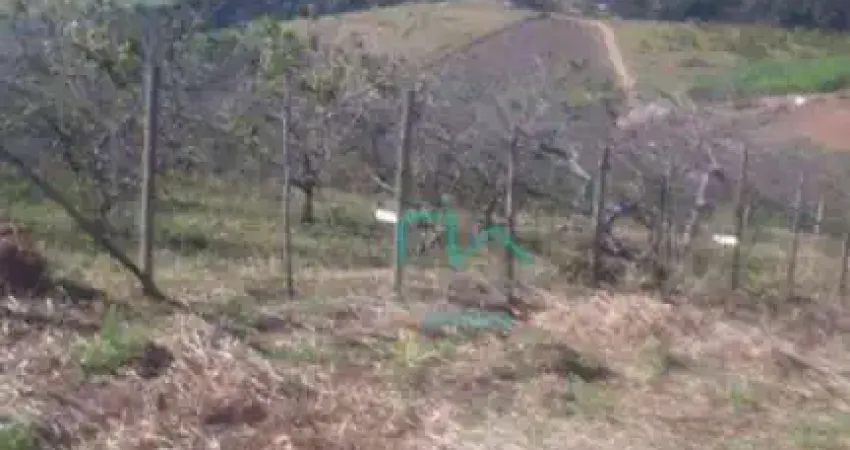 Terreno à venda no Machadinho, Jarinu 