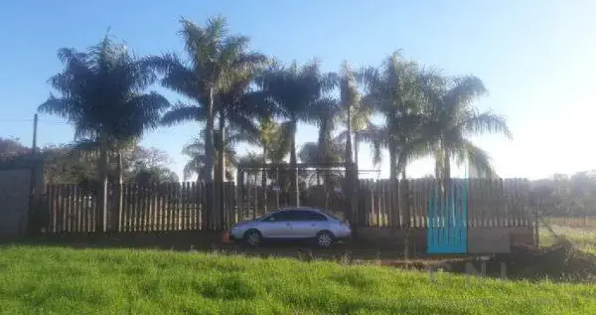 Chácara / sítio à venda na Rodovia Mabio Gonçalves Palhano, 5009, Gleba Palhano, Londrina
