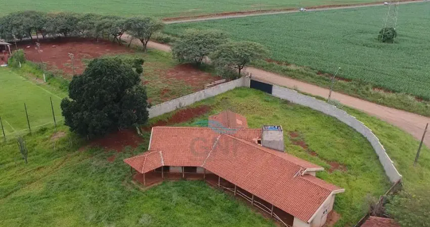 Chácara / sítio com 4 quartos à venda na Rua José Cavalhieri, 133, Dom Pedro I, Londrina