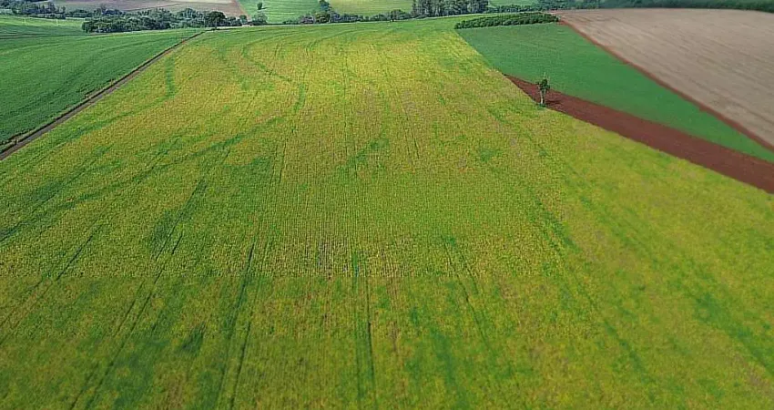 Fazenda à venda na Rua dos Agricultores, Recanto dos Pinheiros, Cambé