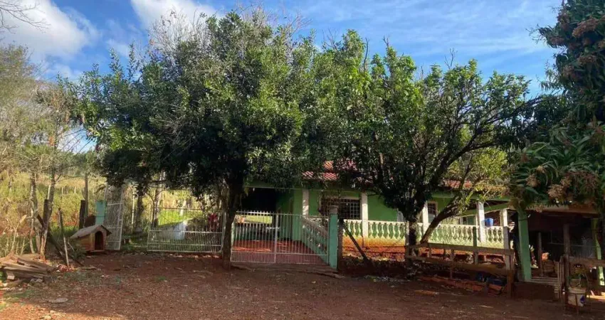 Fazenda à venda na Rod. Mábio G. Palhano, 415, Património Regina, Londrina