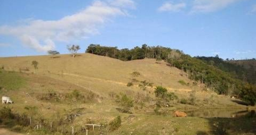 Chácara / sítio com 6 quartos à venda na Praça Manoel Antonio de Carvalho, Caracol, Paraibuna