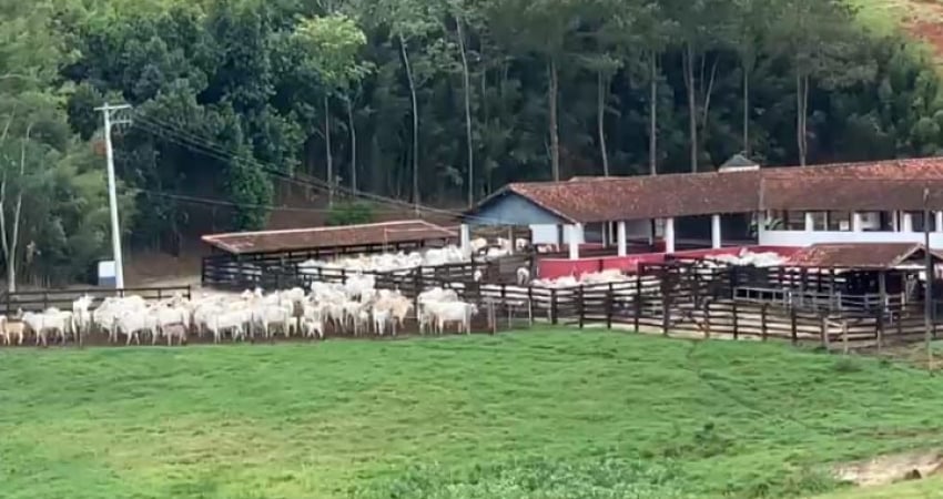 Maravilhosa fazenda