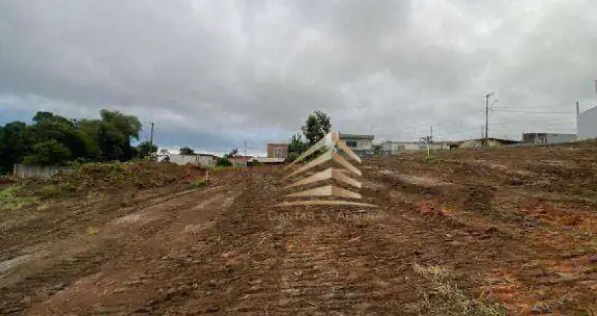 Terreno à venda, 12000 m² por R$ 4.800.000,00 - Chácara Águas da Pedra - Itaquaquecetuba/SP