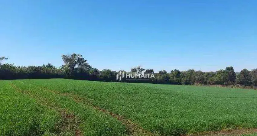 Chácara à venda, 10.000 m² por R$ 890.000 - Fazenda Nata - Londrina/PR