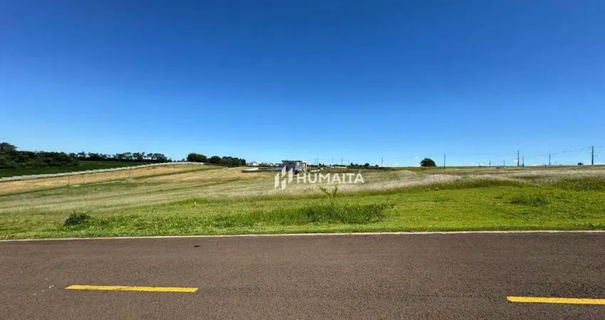 Terreno à venda, 1500 m² por R$ 920.000,00 - Gleba Fazenda Palhano - Cambé/PR