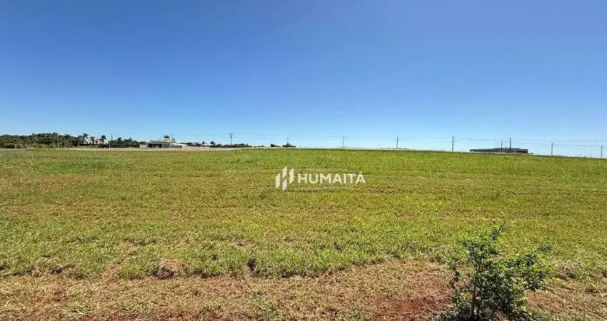 Terreno à venda, 1503 m² por R$ 950.000,00 - Gleba Fazenda Palhano - Cambé/PR