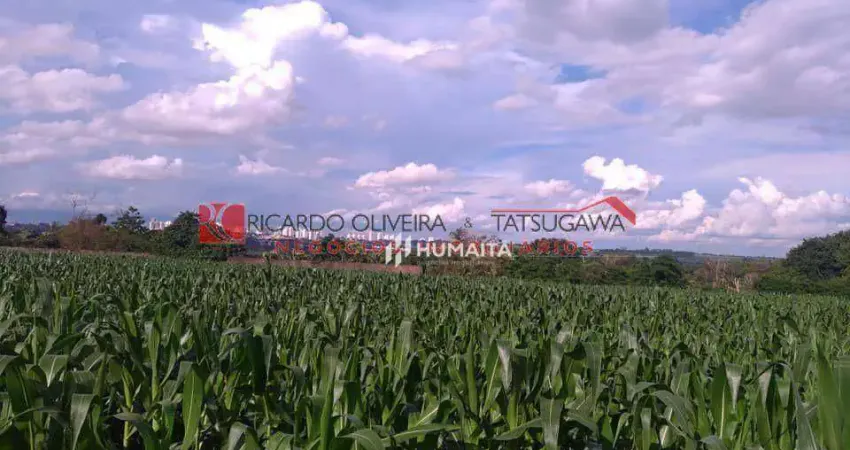 Chácara à venda, 20166 m² por R$ 2.500.000,00 - Gleba Ribeirão Cafezal - Londrina/PR