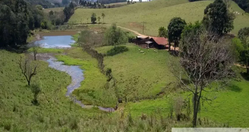Fazenda à venda na Ribeirão Branco, Centro, Ribeirão Branco