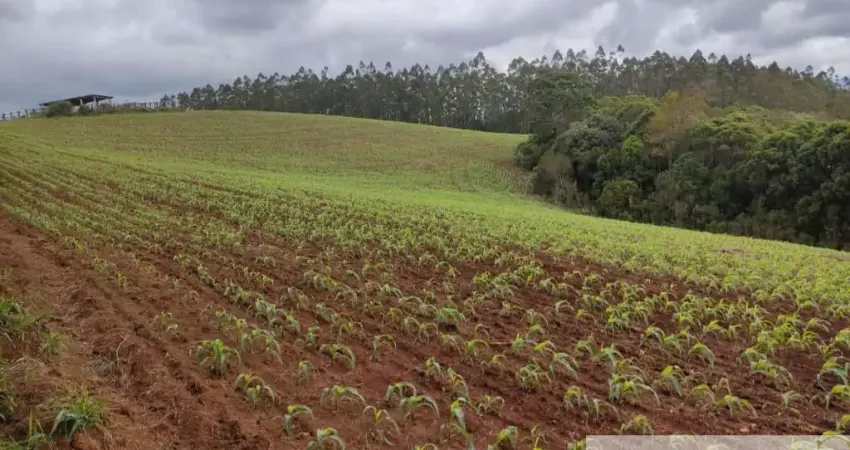 Fazenda à venda na Capão Bonito, Centro, Capão Bonito