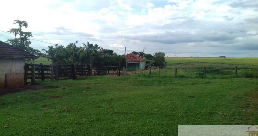 Fazenda à venda na Rua José Maria Sanchez, Centro, Martinópolis