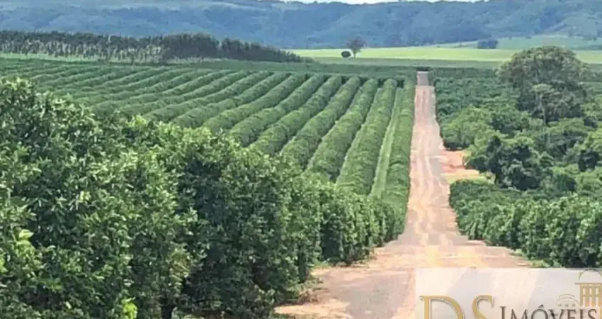 Fazenda à venda na Rua Alagoas, 1, Centro, Marília