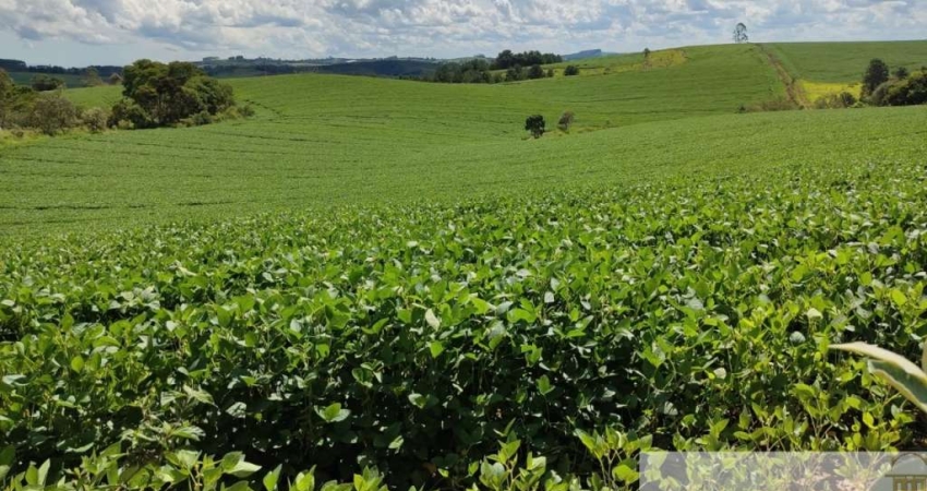 SÍTIO A VENDA EM SÃO MIGUEL ARCANJO-SP, COM ÁREA TOTAL DE 30 ALQUEIRES E REPRESA PEQUENA E NASCENTES,