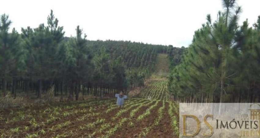 Fazenda à venda na RUA MERALDO PREVIDI 410, 410, Centro, Registro