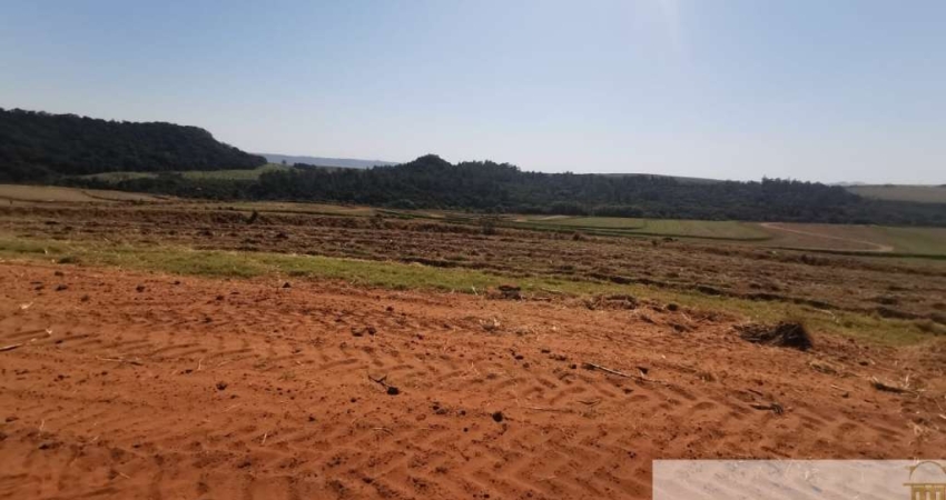 Fazenda à venda na Rua Coronel José Antonio Frota, 481, Centro, Santa Maria da Serra