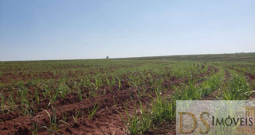 FAZENDA COM CANA NA REGIÃO DE SÃO JOSE DO RIO PRETO-SP, ÁREA TOTAL DE 71 ALQUEIRES, 53 ALQUEIRES EM CANA, TOPOGRAFIA PLANA E SEMIPLANA