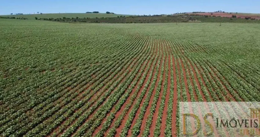 EXCELENTE FAZENDA A VENDA EM ITAÍ-SP, ÁREA TOTAL DE 50 ALQUEIRES,  TERRA VERMELHA, TOPOGRAFIA PLANA A SEMI PLANA, CASA SEDE E BARRACÃO