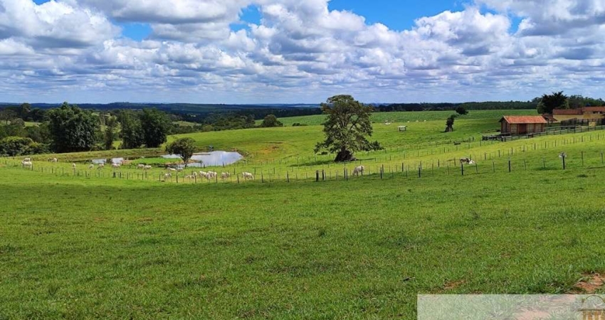 Oportunidade única! Fazenda de 39 alqueires em Itapetininga-SP com estrutura completa para agricultura e pecuária.