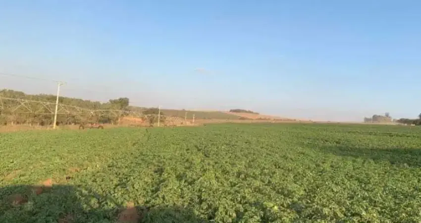FAZENDA À VENDA NA REGIÃO DE CASA BRANCA/SP. COM 120 ALQUEIRES DE ÁREA TOTAL, COM CANA, PASTO E BENFEITORIAS.