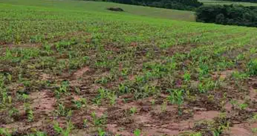 Fazenda de 75 alqueires à venda em São Miguel Arcanjo/SP - Excelente oportunidade de investimento!