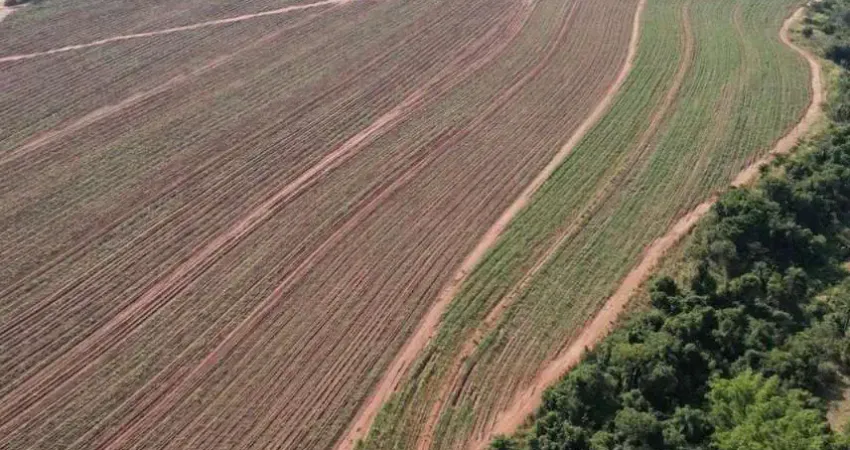 FAZENDA COM CANA DE 215 ALQUEIRES À VENDA EM ARARAQUARA-SP  - Excelente Oportunidade!