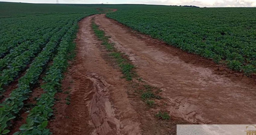 Fazenda de 99 Alqueires à Venda - Sorocaba/SPCom Solo Vermelho, Margem de Rio e BenfeitoriasExcelente Logística e Documentação em Ordem!