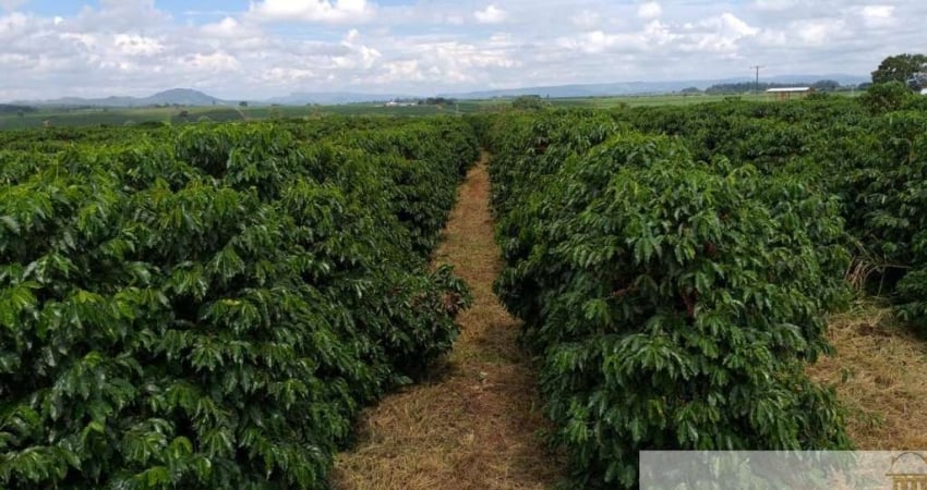 OPORTUNIDADE ÚNICA: FAZENDA DE CAFÉ COM 120 ALQUEIRES EM PIUMHI/MG!