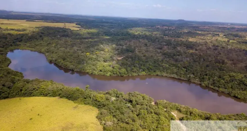 FAZENDÃO À VENDA EM GOIATINS-TO: 7.800 ALQUEIRES DE OPORTUNIDADE!