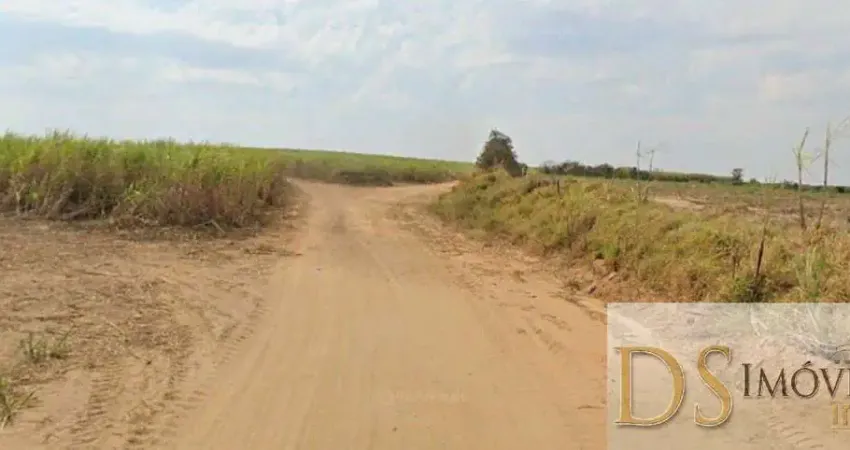 Fazenda de 160 alqueires em porto feliz-sp: oportunidade única de investimento!