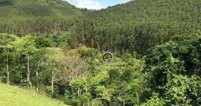 Fazenda à venda na Avenida Brigadeiro Faria Lima, Putim, São José dos Campos