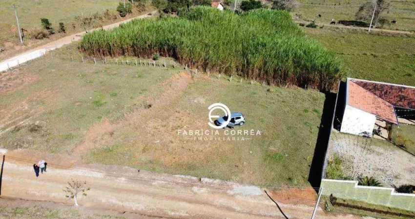 Terreno de 1000 m² no bairro pinheirinho — excelente oportunidade!