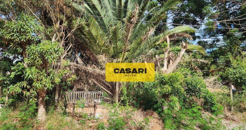 Terreno à venda, 2500 m² - Vitassay - Boituva/SP
