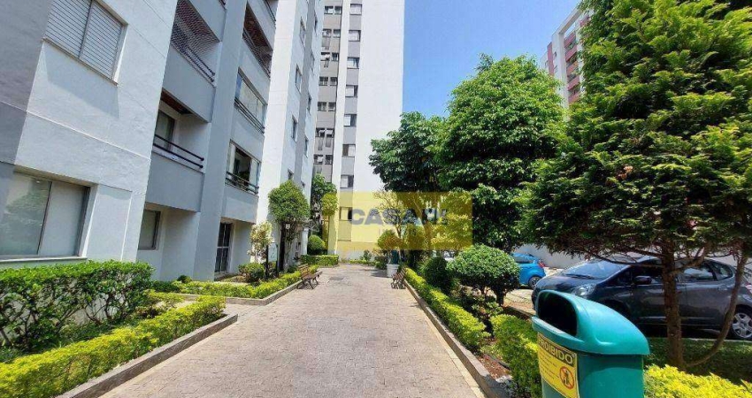 Apartamento com 3 dormitórios à venda, 69 m² por R$ 390.000,00 - Planalto - São Bernardo do Campo/SP