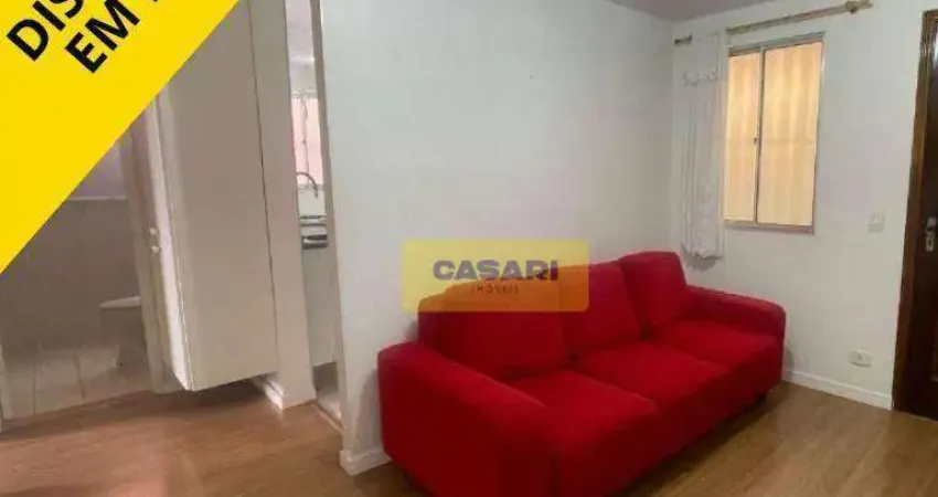 DISPONÍVEL  À PARTIR DO DIA 05/07